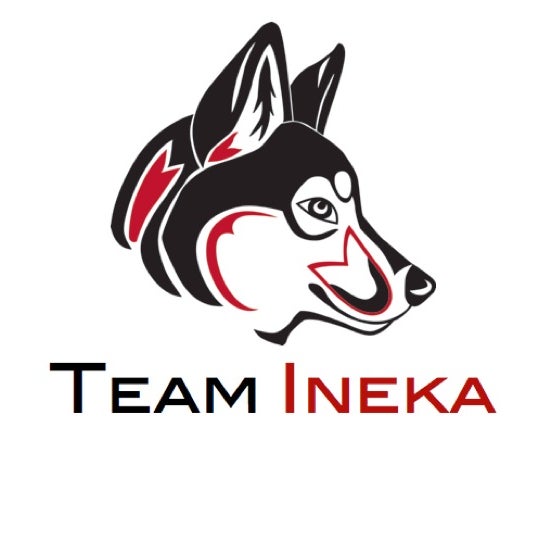 Team Ineka - 1 tip