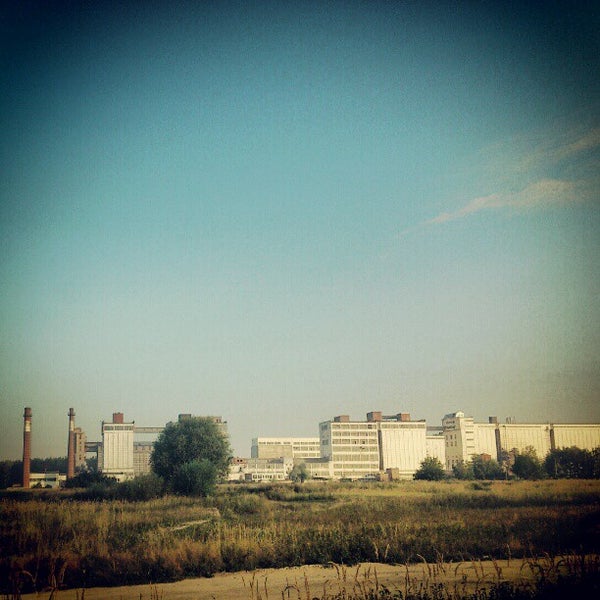 Поселок Дружба Фото