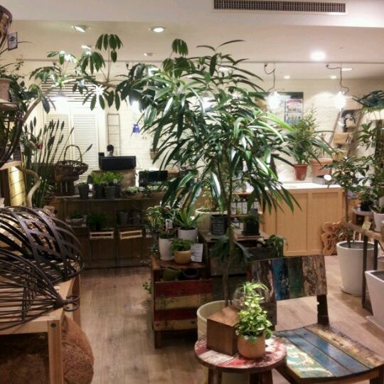 Photos At In Natural 吉祥寺店 Flower Shop In 武蔵野市吉祥寺本町1 11 5
