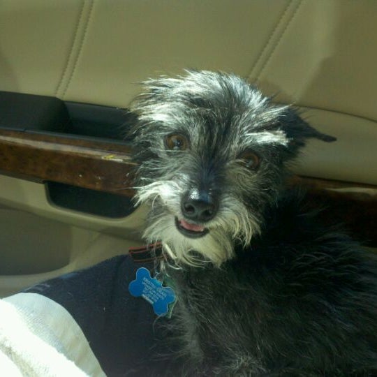 banfield pet hospital millerville