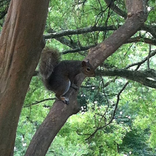 Photos at Latta Park Park in Charlotte