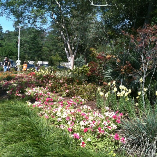 Photos At Mercer Arboretum Botanic Gardens Garden In Humble
