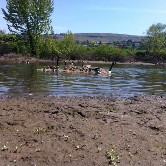 Swallows Nest Park Clarkston, WA