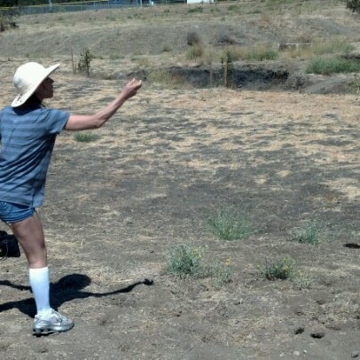 Frisbee Golf Dicks