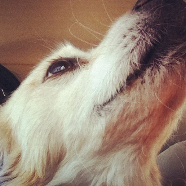 Wildhorse Cineplex Movie Theater