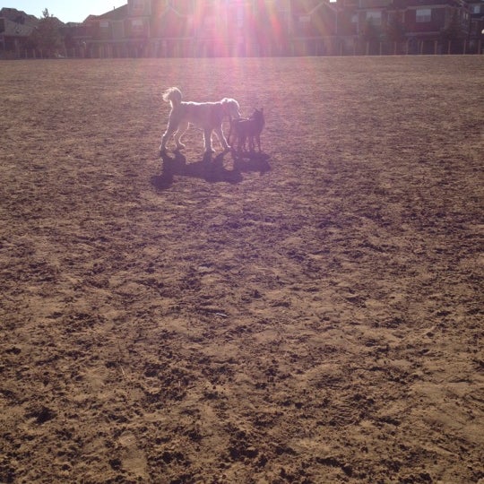 Kennedy Dog Park Dog Run in Kennedy