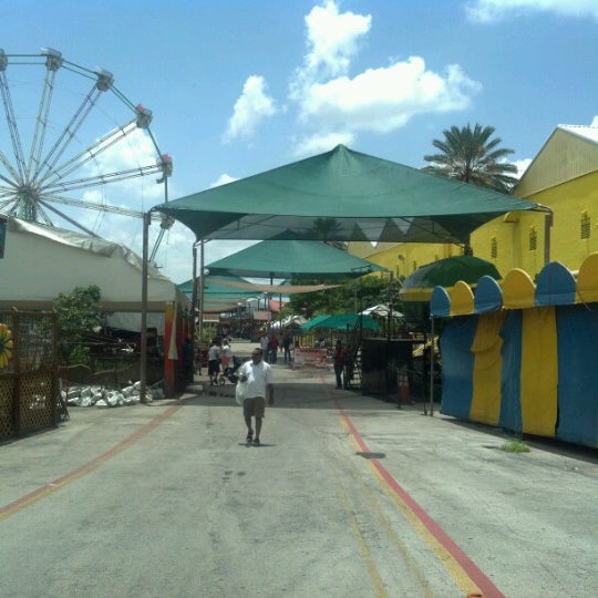 My Image 4