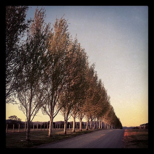 Wyndham Estate Winery