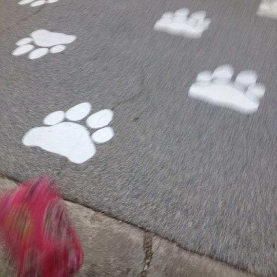 Pate's Creek Elementary Elementary School