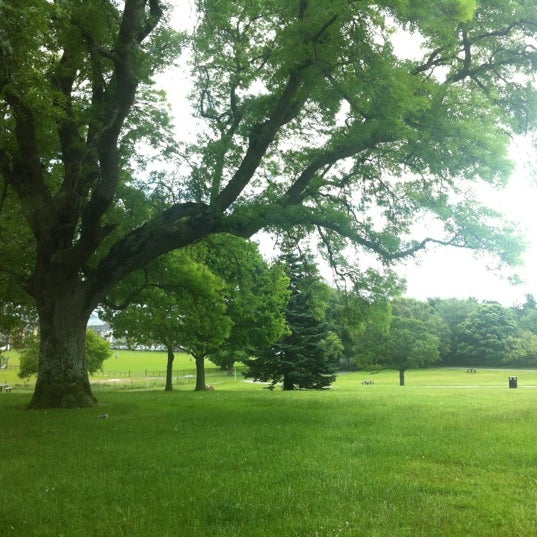 Donard Park 113 visitors