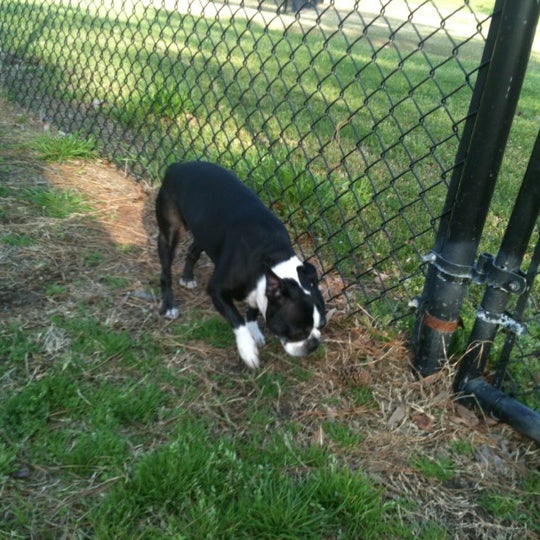 Fayetteville Dog Park Dog Park in Fayetteville