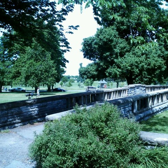 My Image 12