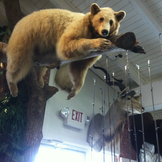 StrikeZone Fishing Southeast Jacksonville 11702 Beach Blvd