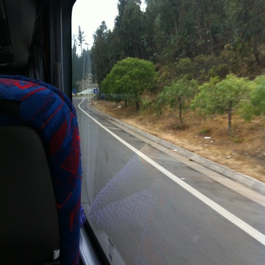 Photos At Tur Bus Vina Del Mar Valparaiso
