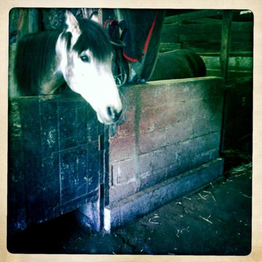 Southborough Lane Stables Stable in Greater London