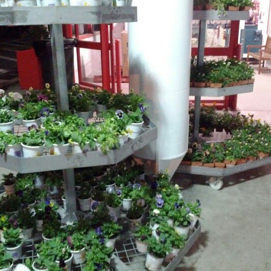 Купить Евро Тролли Для Цветов Б У