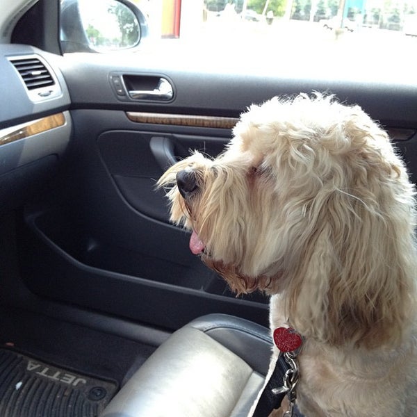 Best Friends Pet Care Pet Store