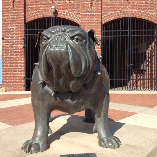 Take a photo with Spike outside the main gate and be part of the Bulldog family.