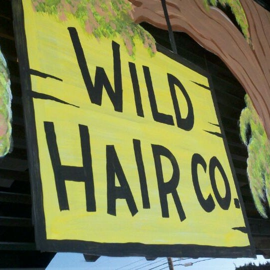 Wild Hair Co. And Day Spa Spa