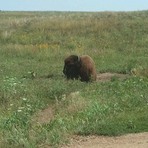 Neal Smith National Wildlife Refuge - 6 tips
