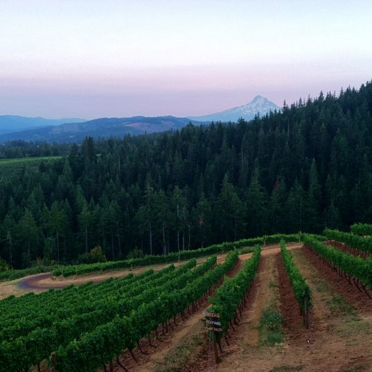 รูปภาพถ่ายที่ Phelps Creek Vineyards โดย Nathalie B. เมื่อ 8/18/2012