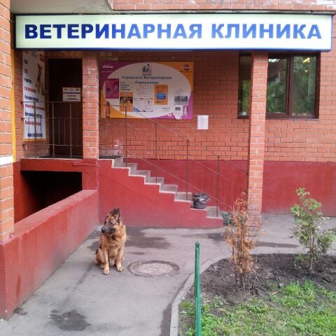 ветеринарная клиника м. ветеринарка кузьминки. сеть клиник свой доктор москва. ветеринарная клиника москва можайское шоссе. свой доктор ветеринарная клиника дзержинский.