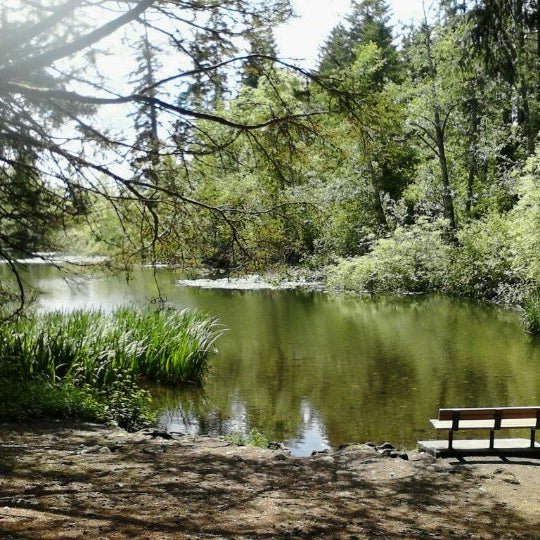 Photos at Spanaway Park Park