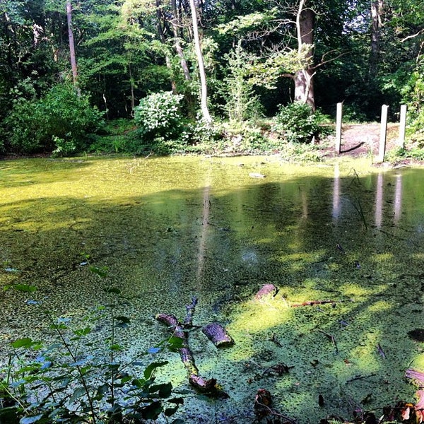 Harrow Weald Common Old Redding