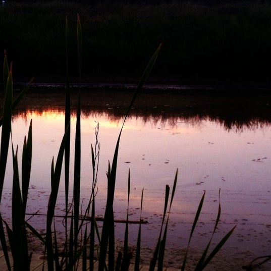 6/25/2012にKevin R.がIndian Creek Nature Centerで撮った写真