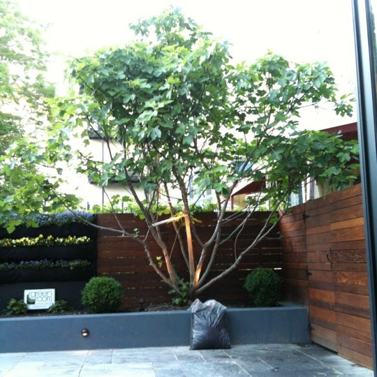 There's a fig tree in the back patio area