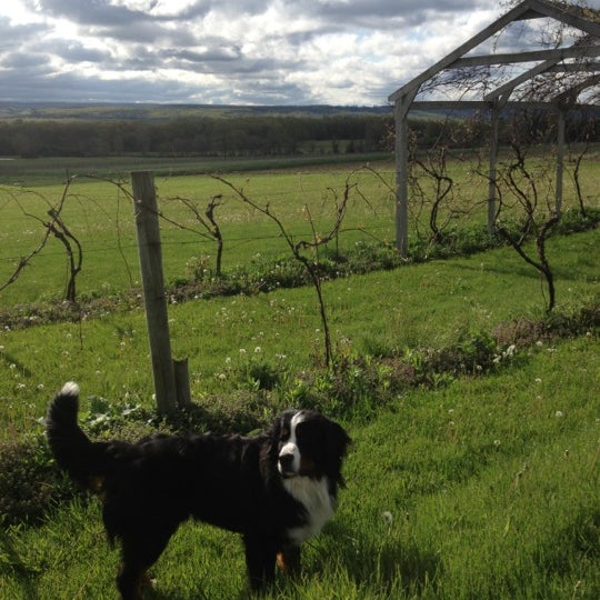 Foto tirada no(a) Hunt Country Vineyards por Andy M. em 5/10/2012