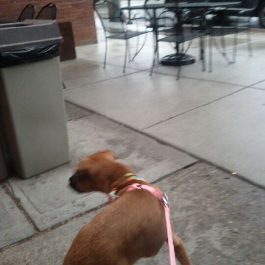 Photos at Lookout Joe Mt Lookout Coffee Roasters Coffee Shop in