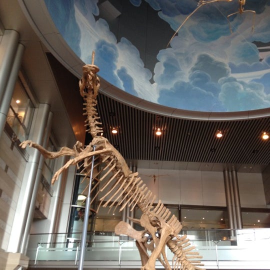 神奈川県立生命の星 地球博物館 Science Museum 神奈川県立生命の星 地球博物館 Science Museum