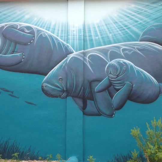 Photo taken at Manatee Observation &amp; Education Center by Annmarie H. on 6/23/2012