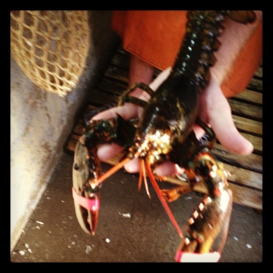 Photo taken at Ogunquit Lobster Pound Restaurant by Mary-Irene M. on 8/13/2012