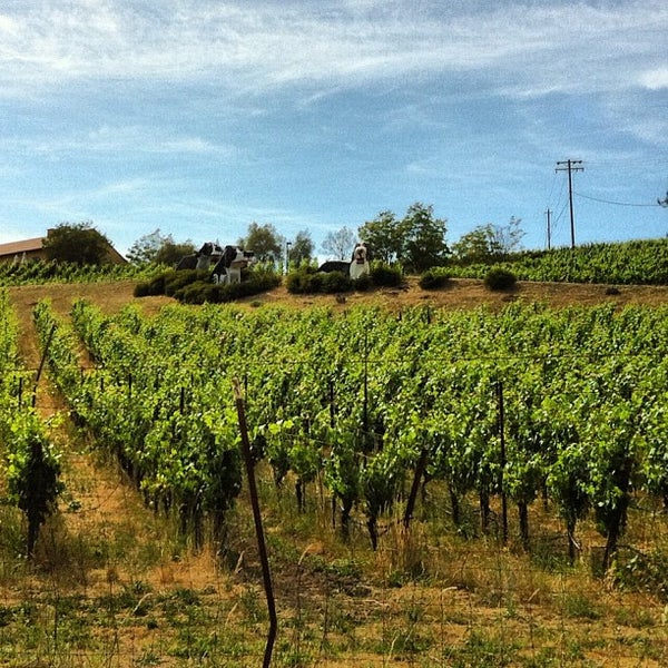 Photo taken at Marimar Estate Vineyards and Winery by Joel S. on 6/17/2012
