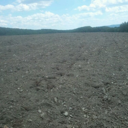 Random fields. Random fields