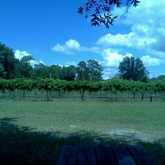 Log Cabin Vineyard And Winery 1 Tip