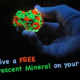 Everyone receives a FREE fluorescent mineral while on tour.