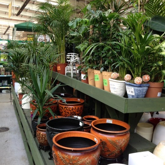 Woodies DIY & Garden Centre 2 tips de 147 visitantes