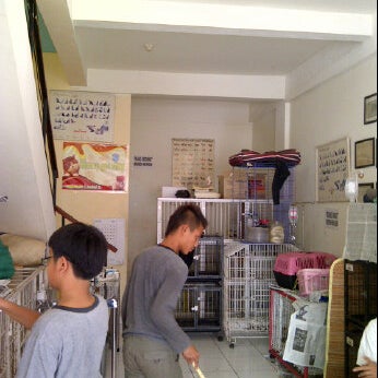 Photos At Vet Medicare And Pet Shop Drh Ramzi Ca Fresh Photos At Vet Medicare And Pet Shop Drh Ramzi Ca Fresh
