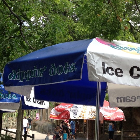 Safari Grill Knoxville, TN