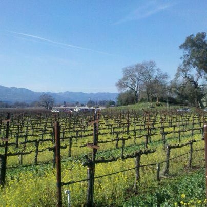 Photo taken at PlumpJack Winery by Michael A. on 2/4/2012