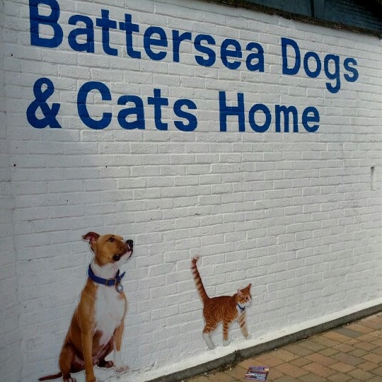 7/22/2012에 Alex C.님이 Battersea Dogs &amp; Cats Home에서 찍은 사진