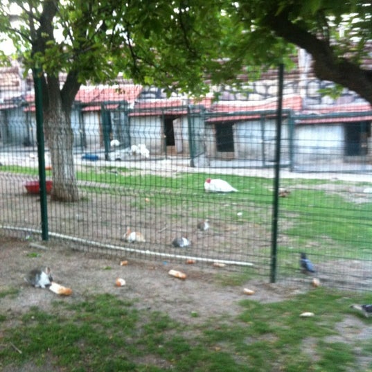 Foto tomada en Büyülü Bahçe  por Oğuzhan D. el 5/21/2012