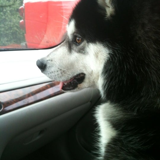 Country Rose Bakery Cafe 10 tips from 171 visitors