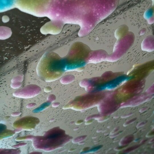 Fleet Farm Department Store in Cedar Falls