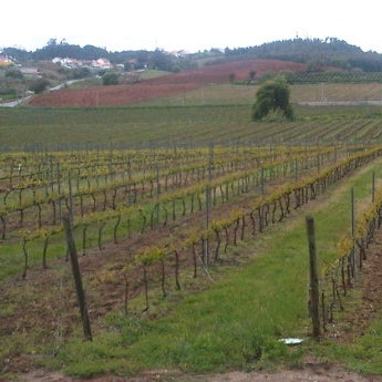Photo taken at Quinta do Gradil by Luis V. on 5/2/2012
