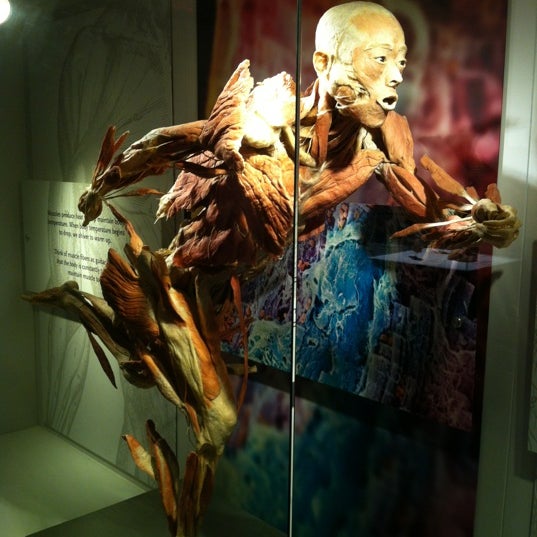 Photo taken at BODIES...The Exhibition by Emre Berge E. on 4/8/2012