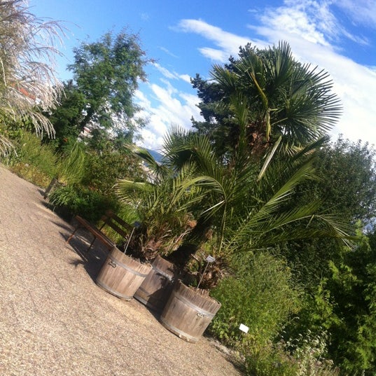 Photos At Botanischer Garten Innsbruck Botanical Garden